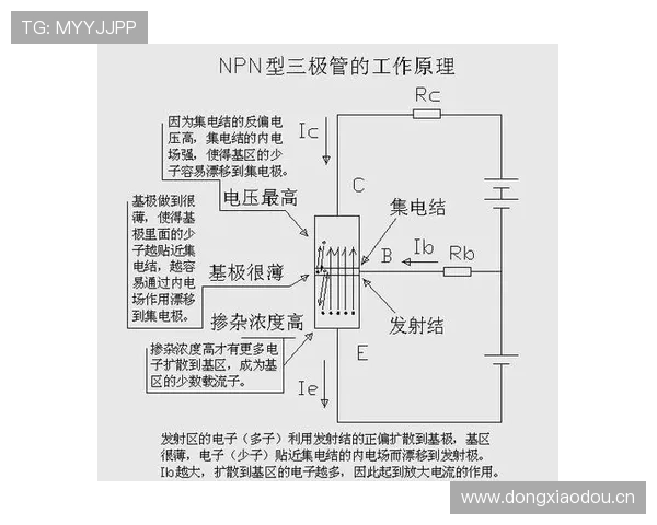 深入解析篮球比赛中 14 秒重置规则的触发条件与判罚标准